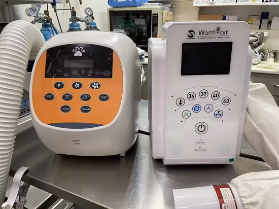 Sistema di navigazione automobilistica per climatizzatore automatico Honda City T1206 08